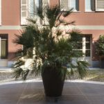 Via Della Rocca - Torino - Atrio con piante